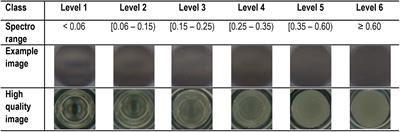 ScanGrow: Deep Learning-Based Live Tracking of Bacterial Growth in Broth